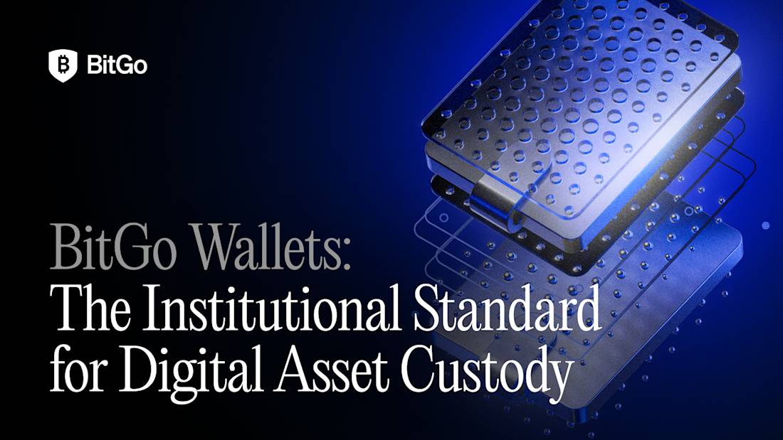BitGo Wallets - The Institutional Standard for Digital Asset Custody_V1.png