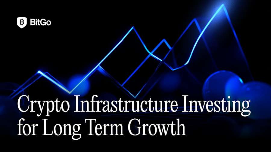 Crypto Infrastructure Investing for Long Term Growth.png