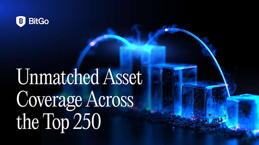 Unmatched Asset Coverage Across the Top 250 - 5.png